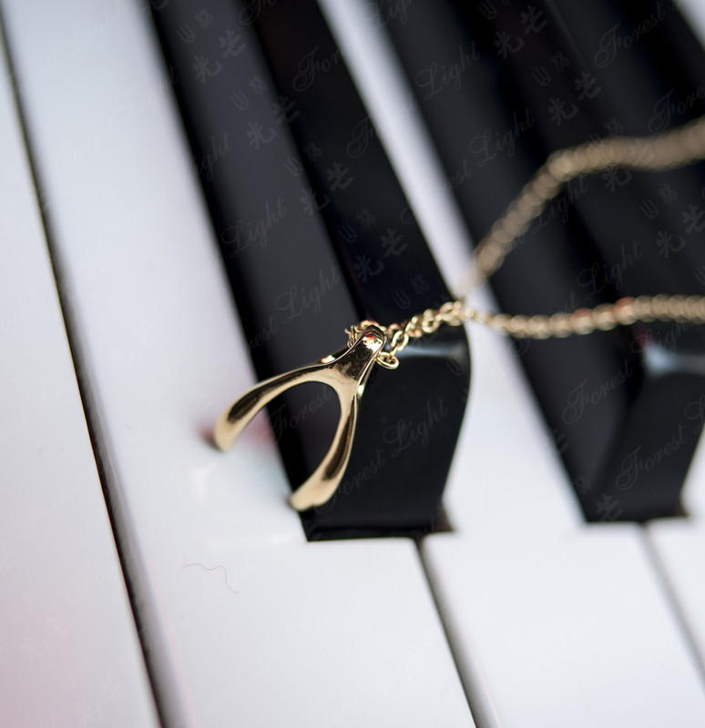 wish bone Lucky Bone Necklace Wishing Bone dogeared Clavicle necklace Forest Lightin the Accessories/Fashion Jewelry, Necklace  category - from Buy2taobao.com to provide professional Taobao agent buy service