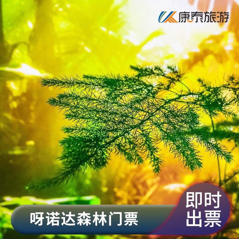 [呀诺达-大门票]三亚热带雨林景点旅游|msdalam kategori tiket tarikan/persembahan secara langsung/Taman tema, 国内票务 - dari Buy2taobao.com untuk memberikan perkhidmatan ejen Taobao profesional membeli