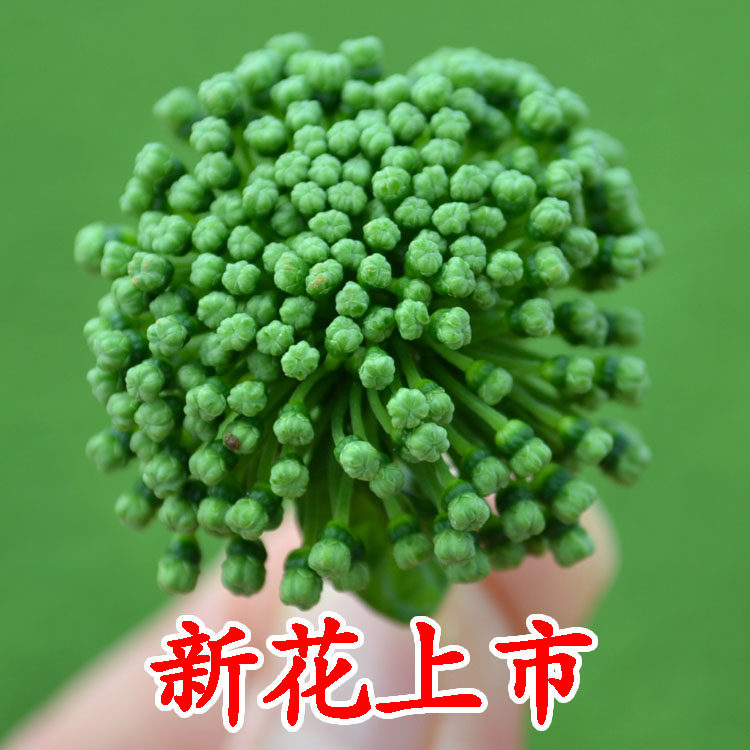 云南文山四年三七花 三年田七花 精选全干3年4年三七花100克包邮