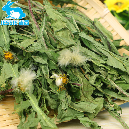 蒲公英叶子宠物饲料龙猫豚鼠干草