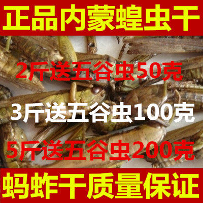 中药材野生蝗虫干 五谷虫干 蛐蛐干500克 蝼蛄干鸟食蚂蚱干鸟饲料