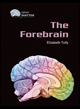 【预售】The Forebrain