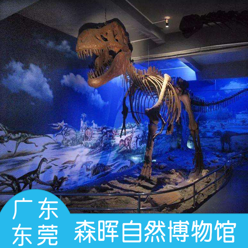 [森晖自然博物馆-大门票]周末节假日通用