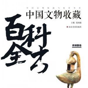 正版 中国文物收藏与鉴赏书系 中国文物收藏百科全书 青铜器卷 段国强 山东美术出版社