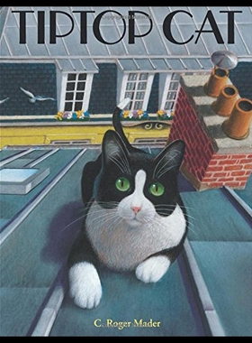 【预售】Tiptop Cat