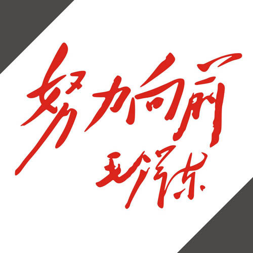 防雨水反光汽车贴纸装饰拉花书法15071努力向前主席题字
