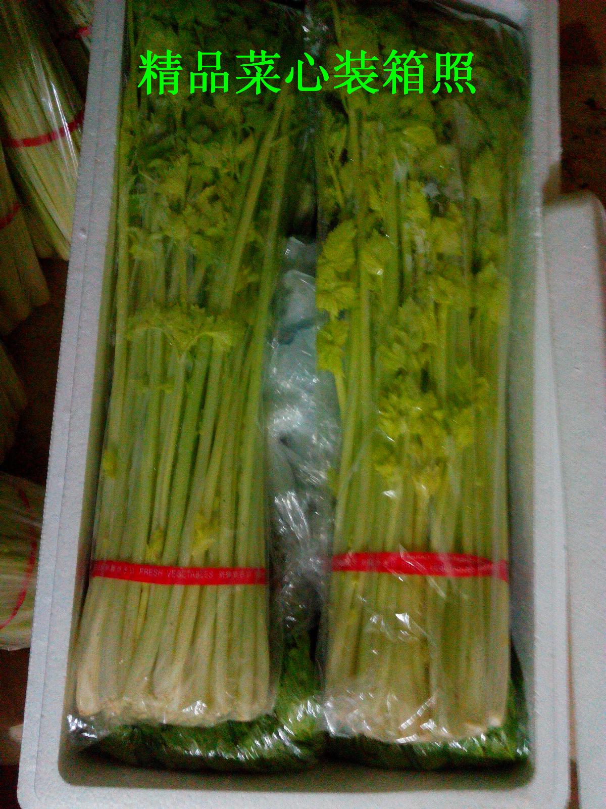 山东青岛特产普通马家沟芹菜3斤包邮