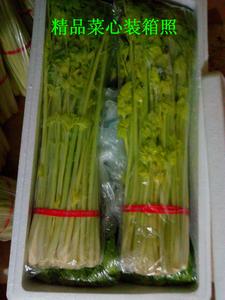 山东青岛特产普通马家沟芹菜3斤包邮