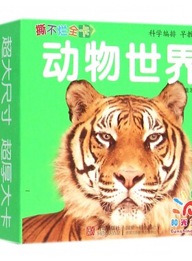 撕不烂全卡 拼音拼读训练幼小衔接一日一练 搭配四五快读小熊很忙儿童1364d立体书洞洞早教书籍绘本启蒙认知卡 博库网