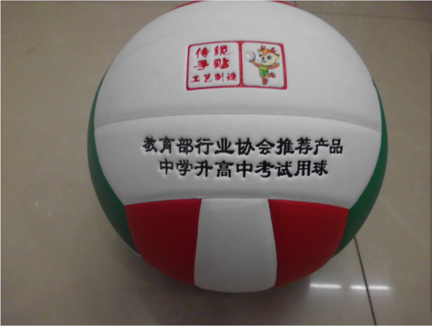Ballon de volley-ball - Ref 2011404 Image 1