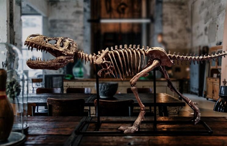 恐龙骨架动物头化石骨骼模型酒店餐厅网吧大型道具家居装饰品摆件