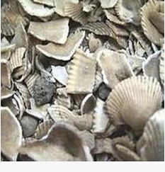 中药材生瓦楞子 500克包邮 另有锻瓦楞子  打粉请留言