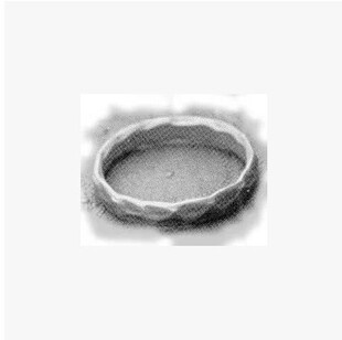 工程师之戒 The Iron Ring 工程师戒指