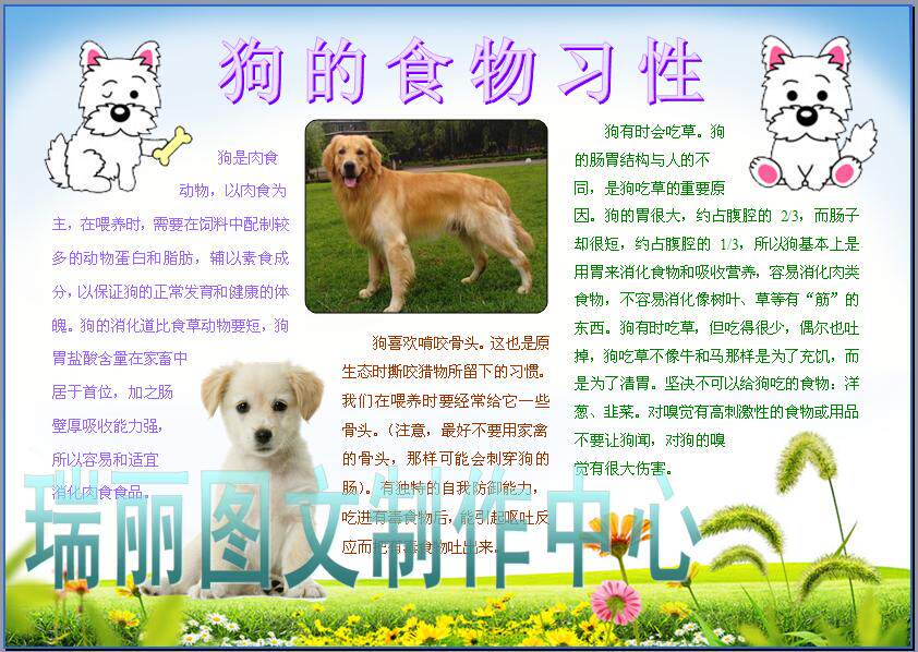 人类的朋友狗的食物习性电子小报成品动物科技板报科普模板958