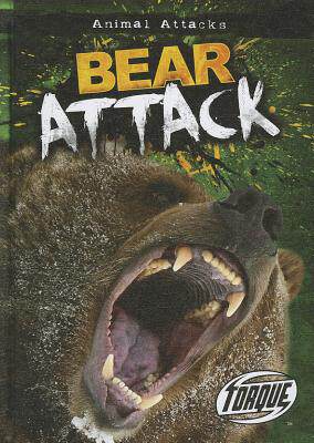 【预售】Bear Attack