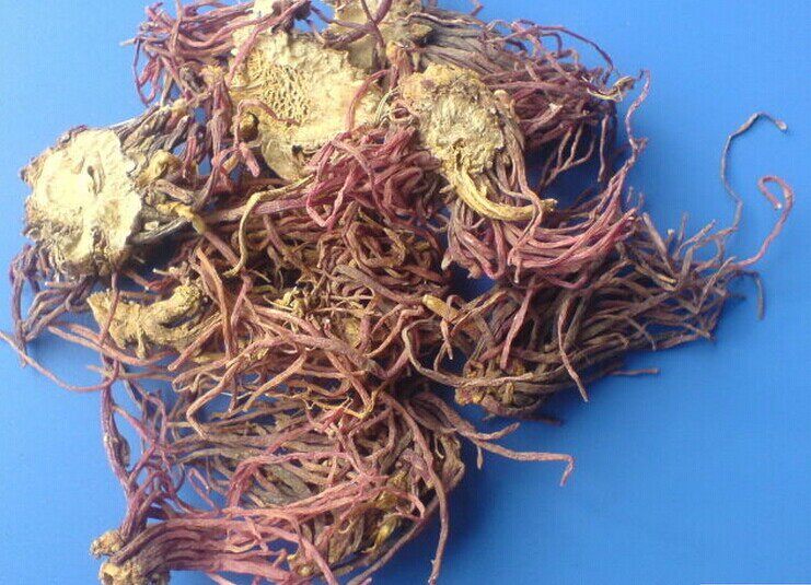中药材紫苑别名青菀 小辫 返魂草500克