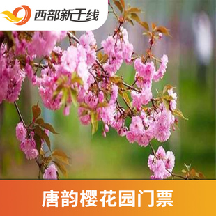 河南 大门票 大门票x 唐韵樱花园 许昌