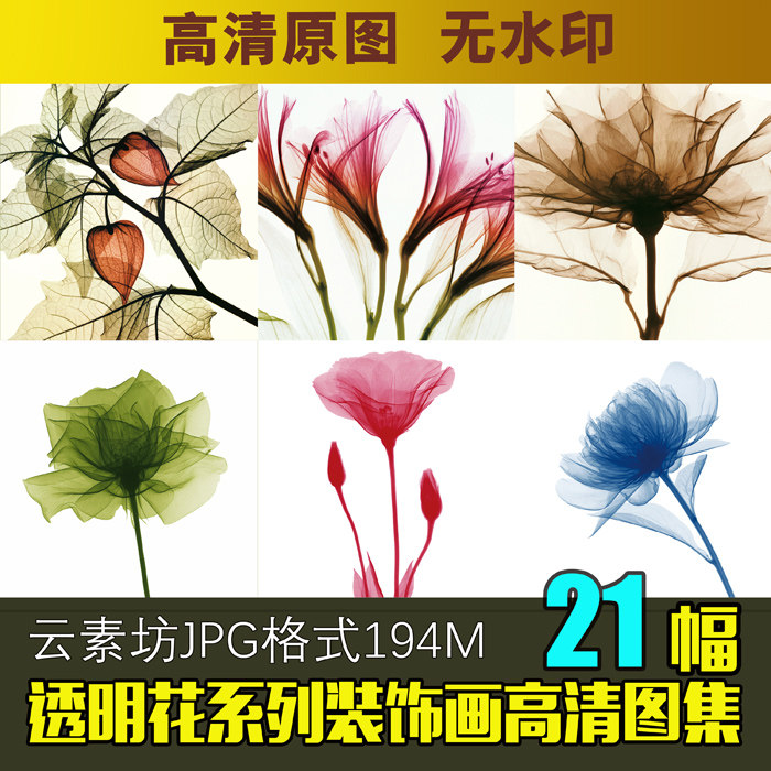 透明花卉图片素材高清装饰画芯图片墙纸现代冰晶画大图喷绘印刷图