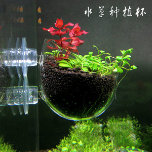 。水晶玻璃水草种植杯 波尔卡型造景种植盆 水中花盆