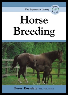Breeding Horse 预售