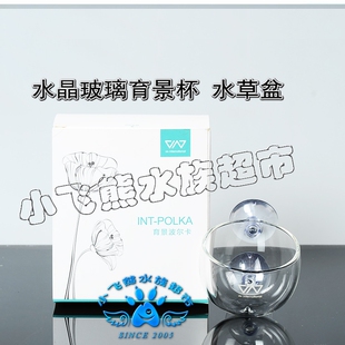 香港 水晶玻璃波尔卡形育景杯 造景盆 造景杯 VIV