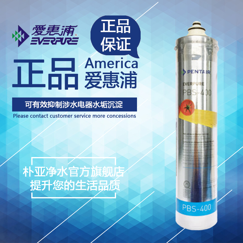 美国爱惠浦PBS400净水器滤芯 爱惠浦 PBS-400 净水器滤芯