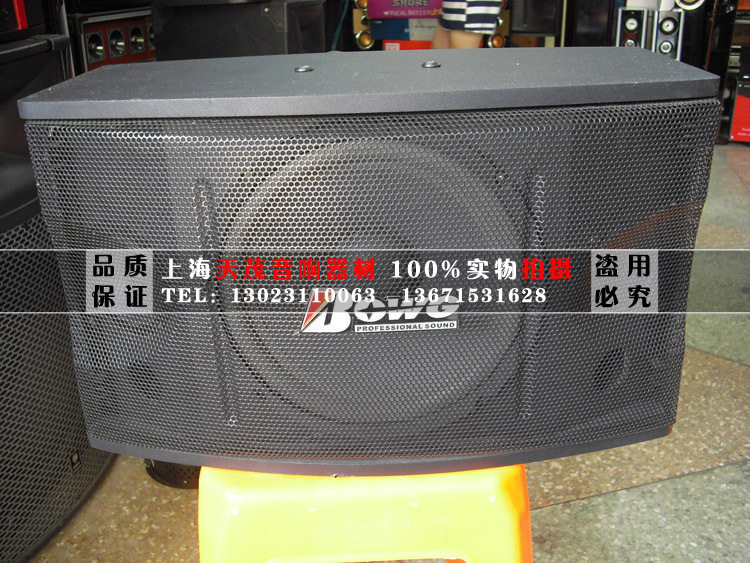 BOWG/25v 专业舞台音箱 KTV包房音箱 卡包厢 家用音箱