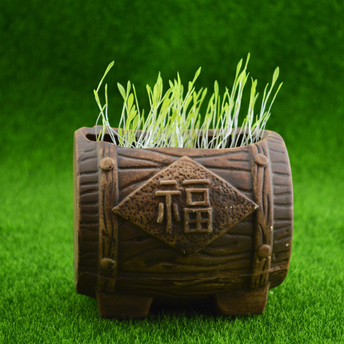 蚂蚁昆虫生态造景摆件各种植物
