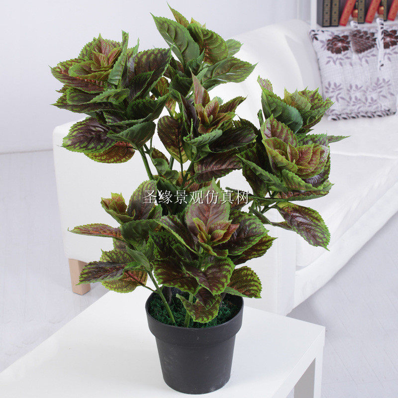 仿真紫苏 家居美观装饰紫苏树盆栽盆景 客厅酒店餐厅仿真植物绿植