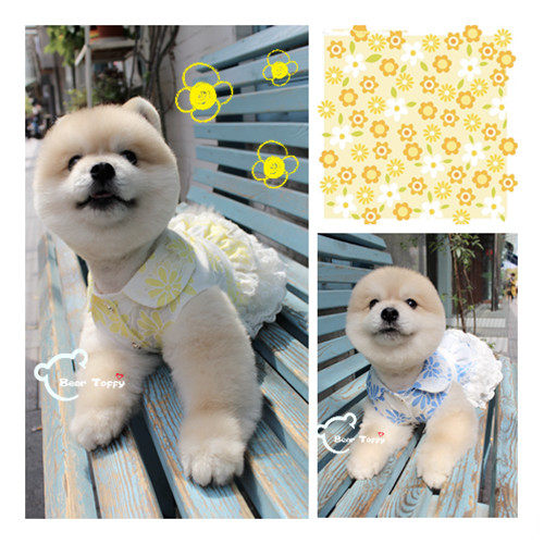 beartoffypet狗猫蛋糕裙衣服