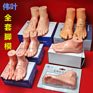 按摩店用脚模型足底按摩模型脚部足部反射区模型按摩针灸艾灸穴位