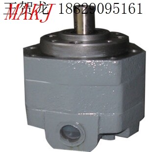 润滑液压泵头齿轮泵摆线齿轮油泵BB-B40BB-B63BB-B50