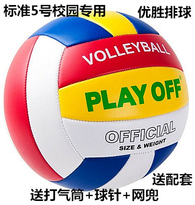 Ballon de volley - Ref 2011296 Image 1