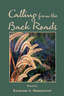 【预售】Calling from the Back Roads