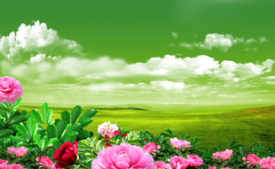 鲜花花朵海报 饰大贴画J2720C 薰衣草向日葵郁金香自然田园风景装