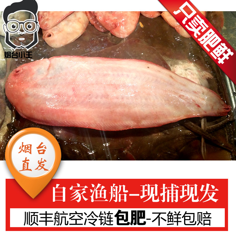 鲜活野生大龙利鱼新鲜海鲜踏板鱼鳎米鱼舌头鱼海鱼鲜鱼1.5-3斤/条