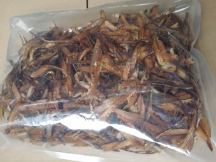 鲭鱼干 调汤佳品 鲭鱼厚片 鲭鱼片