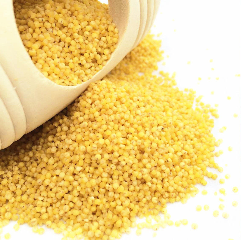 黄谷子/无壳小米/虎皮牡丹玄凤鹦鹉/文鸟/鸟食鸟粮/ 250g在类目 宠物/宠物食品及用品, 鸟类及用品, 鸟食中 - 来自Buy2taobao.com提供专业的淘宝代购服务