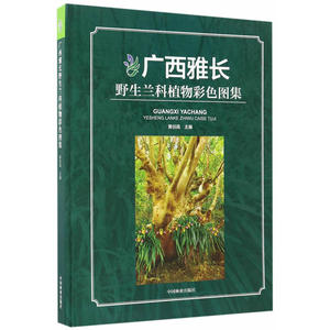 广西雅长野生兰科植物彩色图集(精)