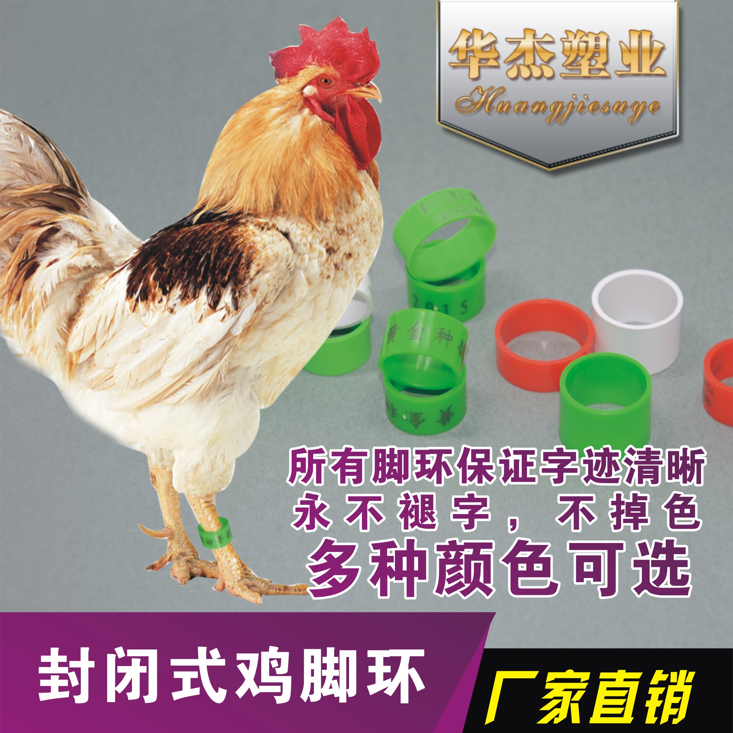 鸡脚环/封闭式鸡脚环/