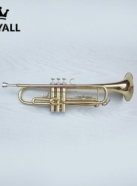 【ROYALL】Royal Tp-260小号