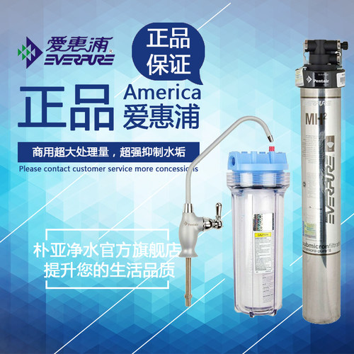 美国爱惠浦MH2 净水器 MH(2)平方 净水机 商用净水器直饮机