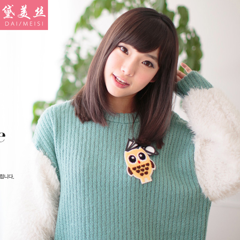 Perruque Long cheveux raides - Ref 2609009 Image 1