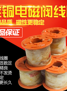 2W系列电磁阀线圈 大铜线圈 孔径20mmAC22OV DC24V AC110V AC380V