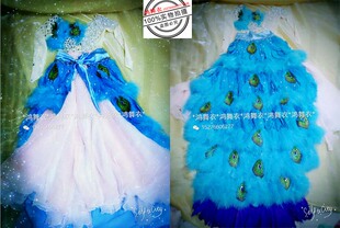 演出服 傣族 儿童孔雀舞蹈服装 鸿舞衣