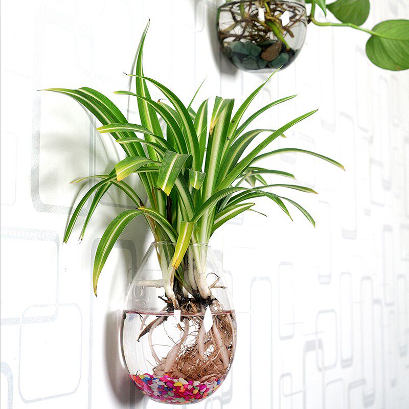【天天特价】简约创意壁挂欧式绿萝水培花瓶透明玻璃悬挂插花花瓶