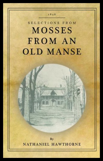 美国库房发货，通常付款后5-8周到货！