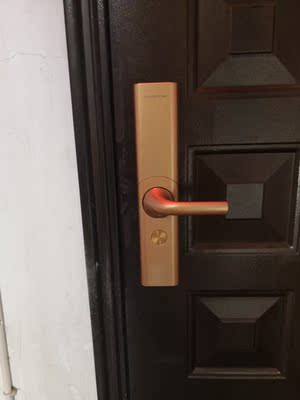 目前看来【揭秘】源天祥指纹锁怎么样,安全性高吗,业主真实感受