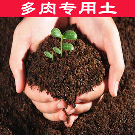 多肉植物营养土养花育苗肉肉通用土盆栽绿萝土多肉专用土