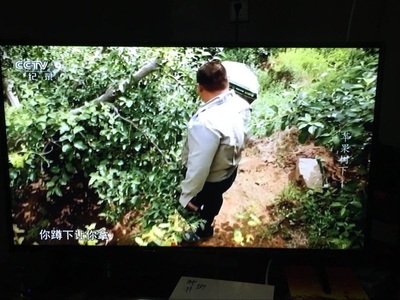 说下知道海信HZ43E35A与长虹43D5S哪款值得入手？比较一下差别大不大